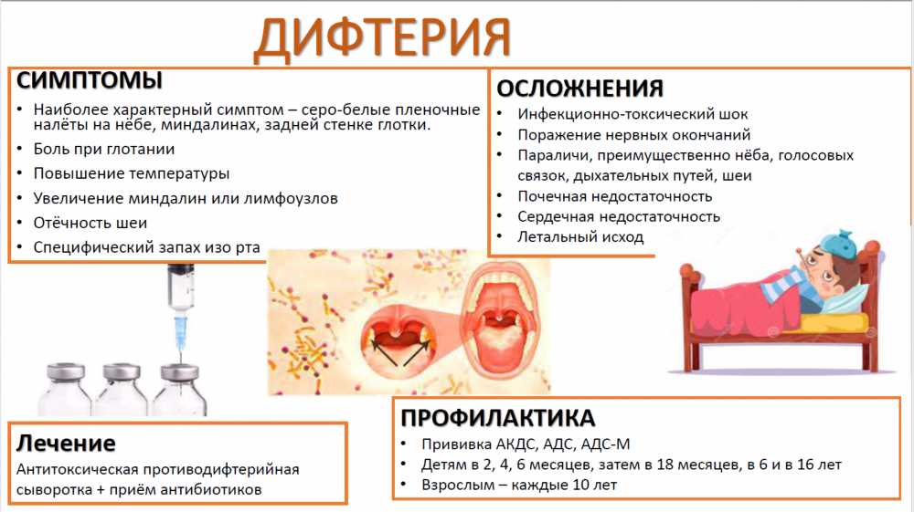 Дифтерия: симптомы, лечение и профилактика