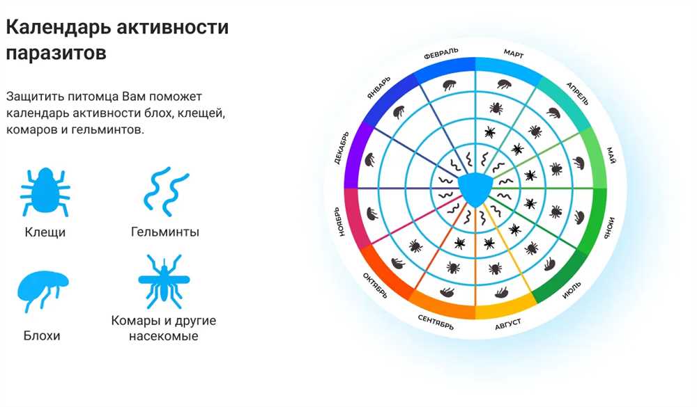 Эффективные методы лечения глистов и паразитов у человека: советы от экспертов