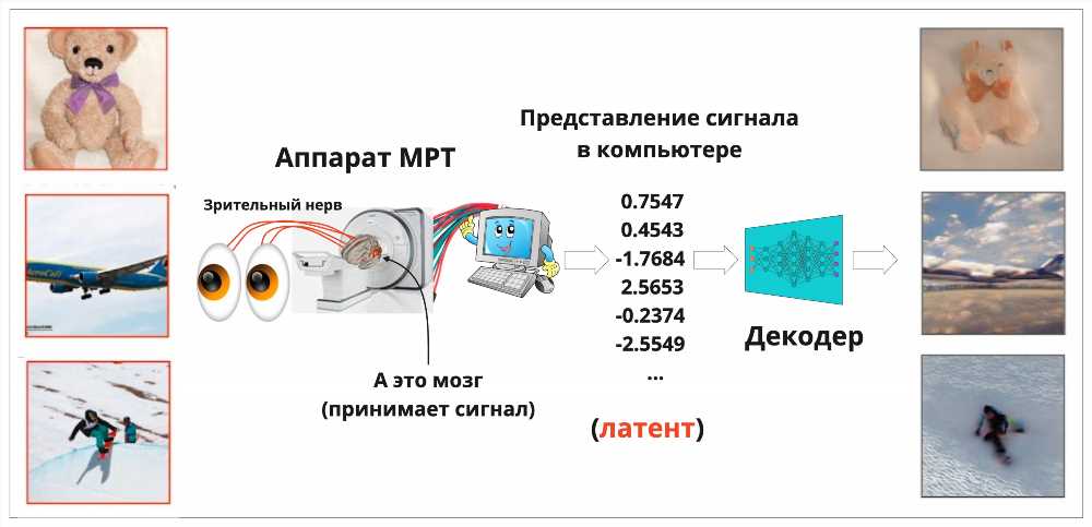 Исследование Железной обезьяны: Технологическое чудо или потенциальная угроза?