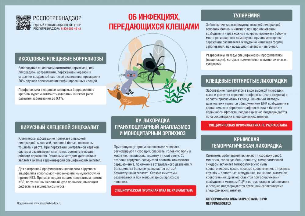 Изучаем Виды Некроза: Руководство для Понимания и Профилактики