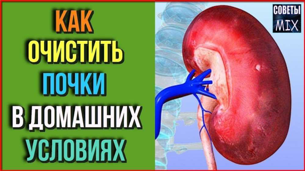 Как избавиться от песка в почках в домашних условиях: эффективные методы очищения организма