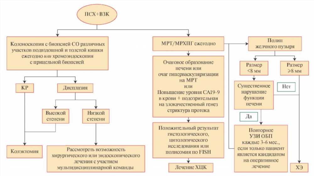 Максимизация Здоровья: Все, что Вы Должны Знать о Антикоагуляции Крови