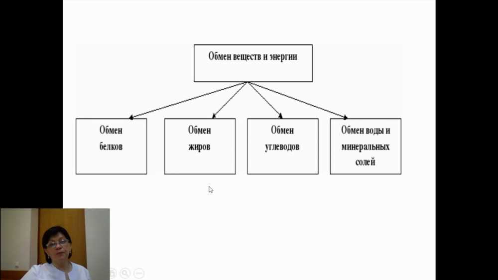 Механизмы обмена жиров (липидов): Разбираемся в процессах метаболизма