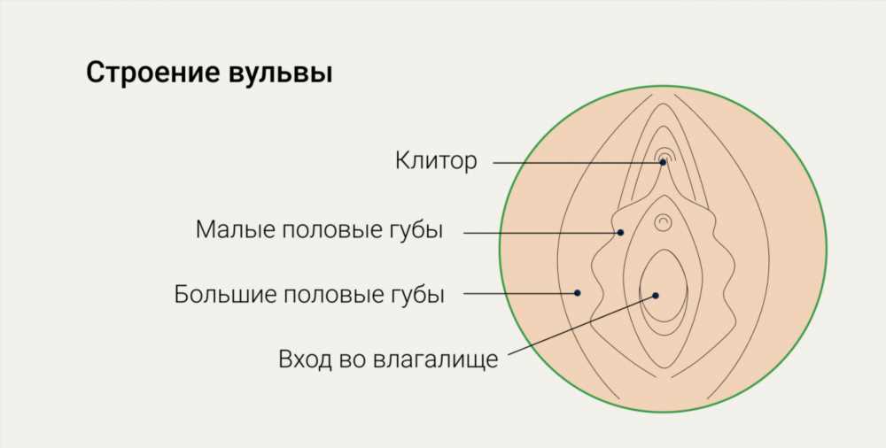 Можно ли забеременеть без месячных: Разгадываем Тайны Женского Организма