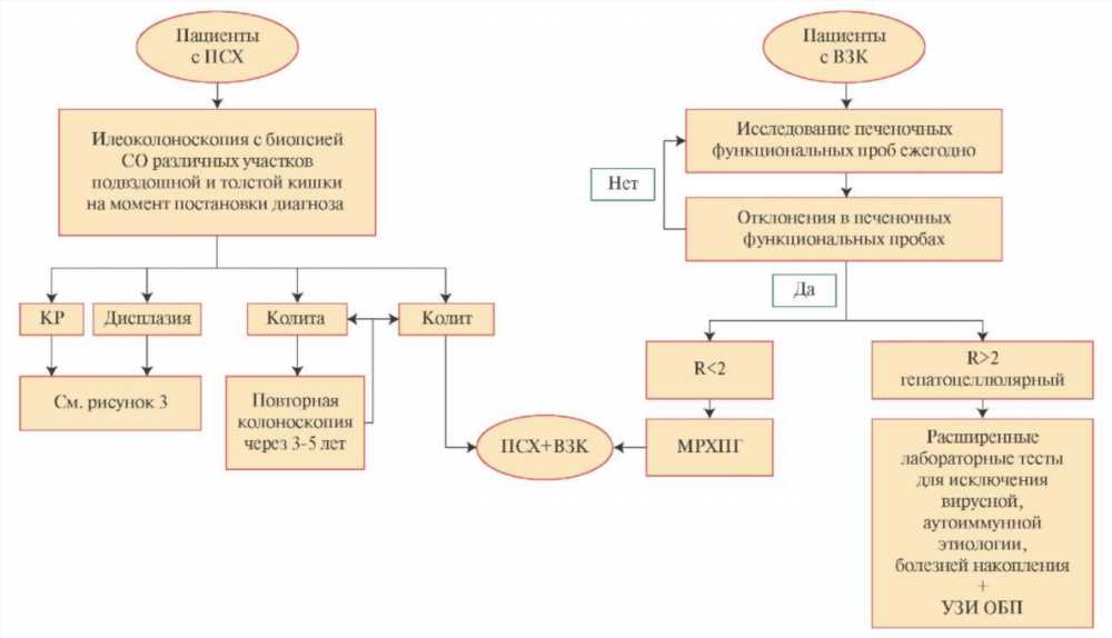 Момент курации: Почему жалобы могут стать вашим лучшим инструментом