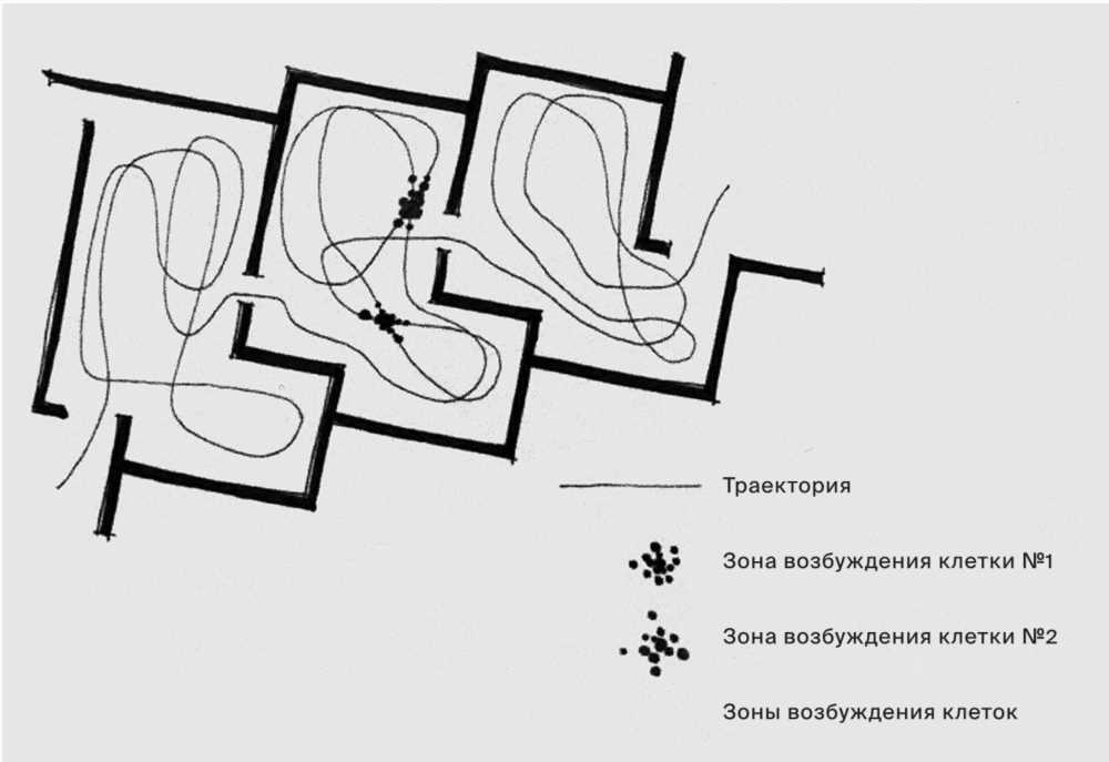 Оптимизация рабочего дня: Минимализм по методу Эверетта Боуга