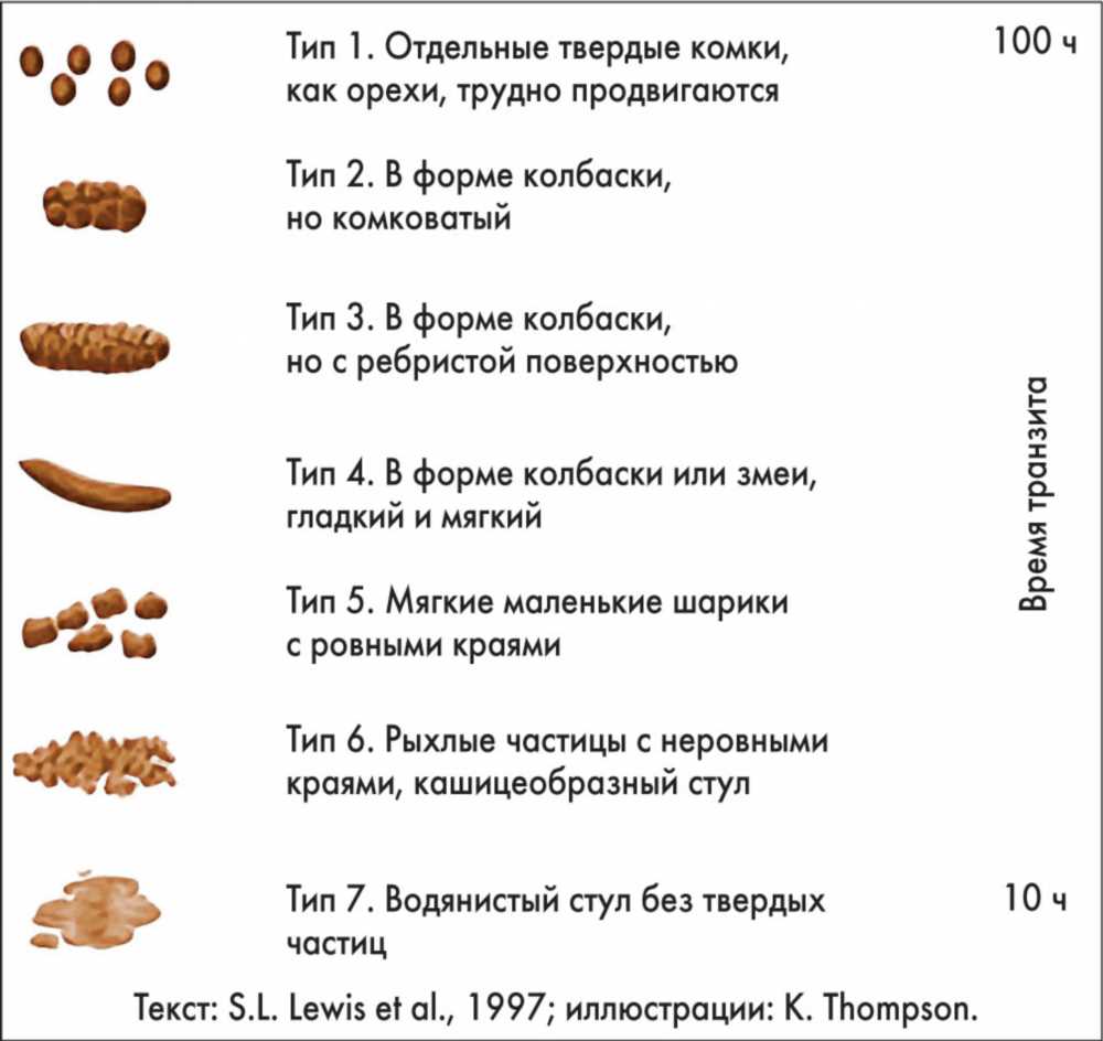 Особенности питания при хронической и острой диарее: советы и стратегии