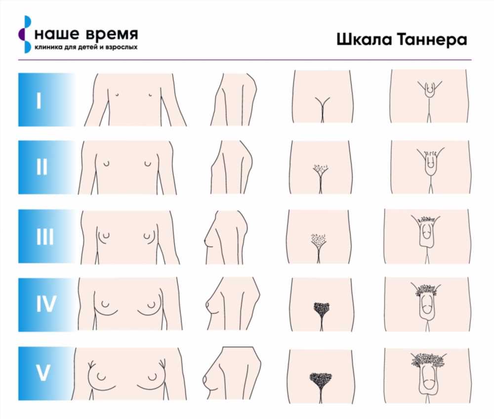 Почему Развитие Варьируется в Зависимости от Возраста: Влияние Факторов на Развитие в Разные Периоды Жизни