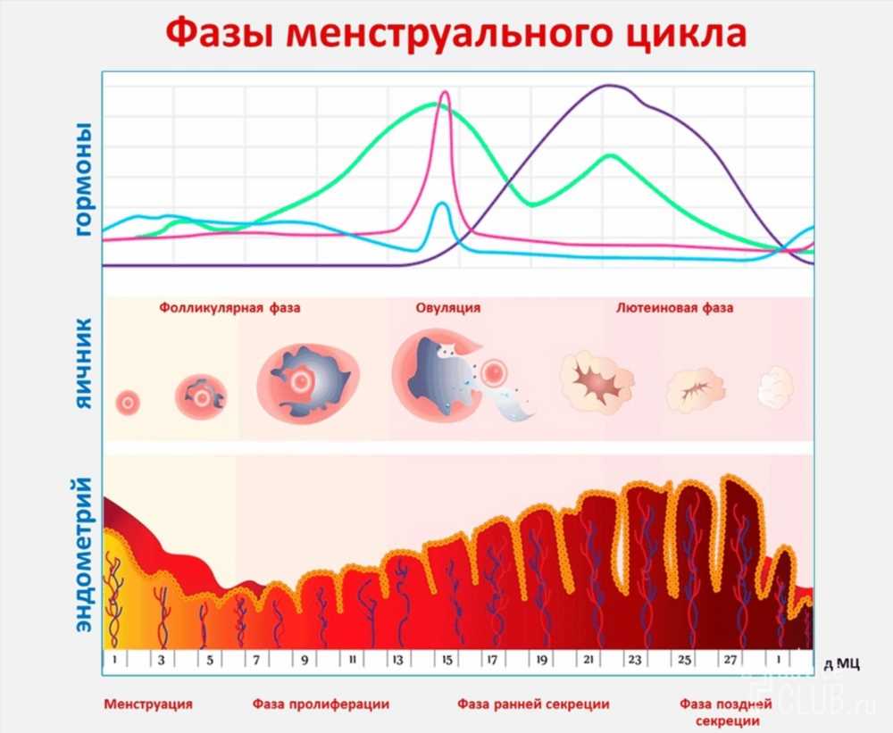 Понимание и управление симптомами скудных месячных: Руководство для женщин