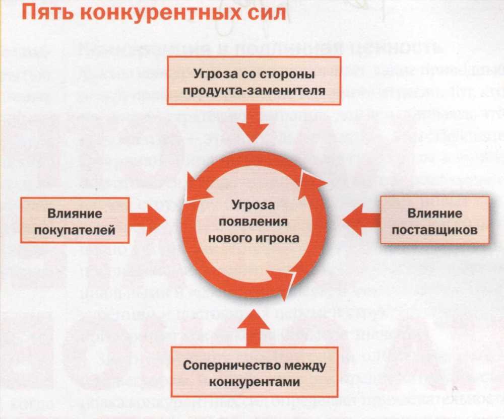 Стоимость копрограмм: разбор ценовой политики и факторов влияния