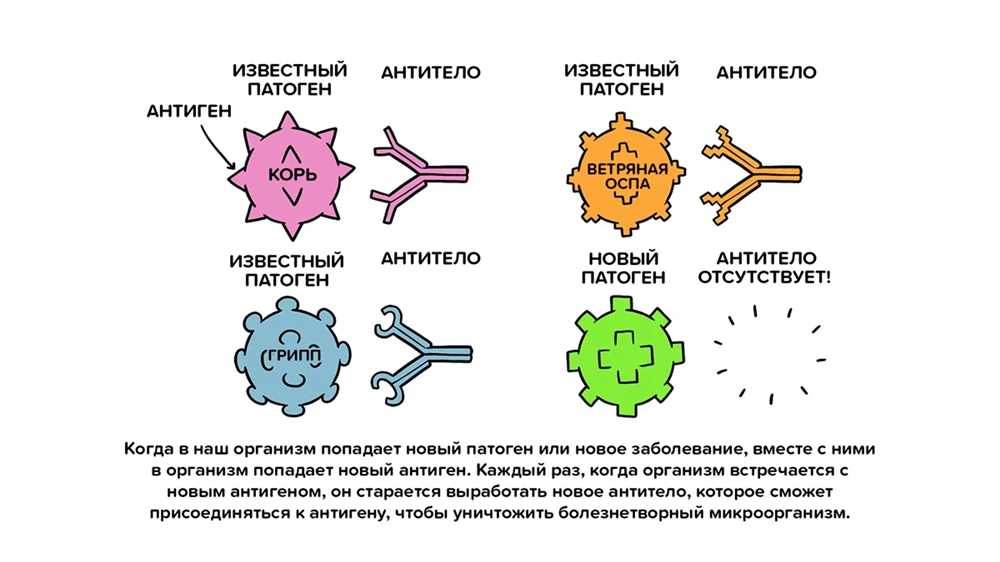 Вирусы или бактерии: В чем разница и как защититься от них