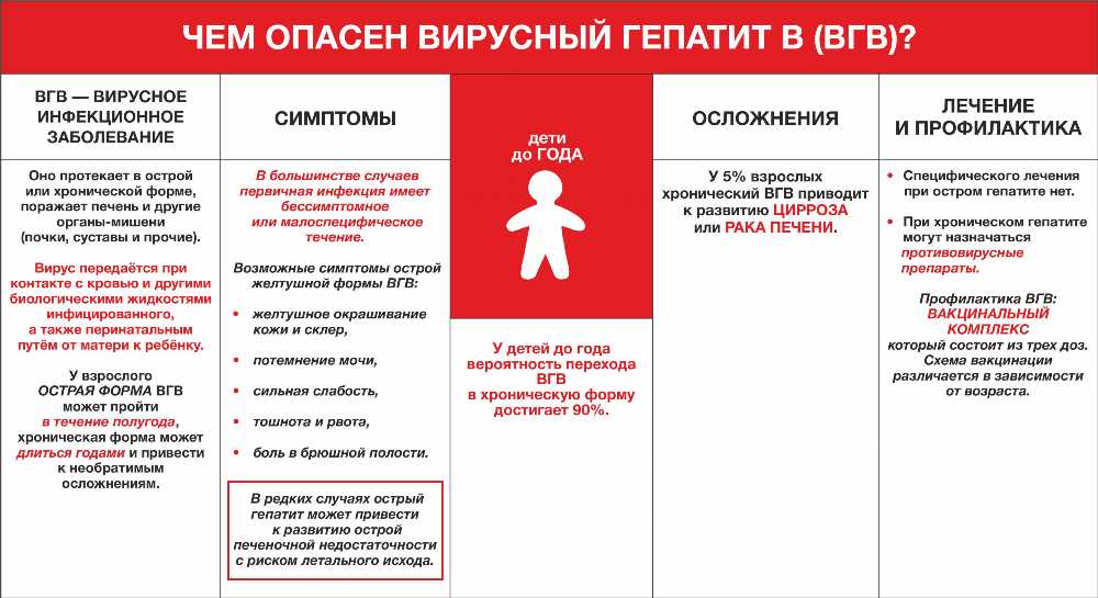 Всё, что вам нужно знать о типах гепатита: симптомы, лечение и профилактика