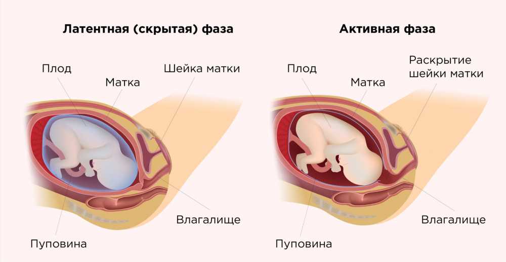 Все, что вы должны знать о периодах родов: симптомы, фазы и советы